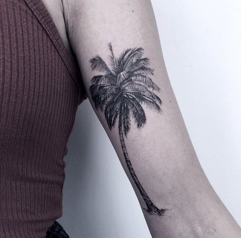 Palm tree , micro realistic , black and grey   Check my instagram : marked by elysse Realistic Palm Tree Tattoo, Mini Palm Tree Tattoo, Mini Palm Tree, Tattoo Inspiration Men, Palm Tree Tattoo, Tree Tattoo, Small Tattoo, Stippling, Forearm Tattoo