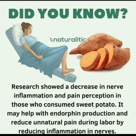 Sweet Potato Health Benefits, Sweet Potato Benefits, Autoimmune Paleo Diet, Simple Nutrition, Healthy Food Facts, Holistic Nutrition, Natural Health Remedies, Health Advice, Health Facts