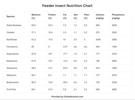 Reptile pet owners- here is a chart I came across that gives nutritional facts on insects for feeding, including protien, fat, fiber, calcium, etc. Dubia Roaches, Home Lizard, Edible Bugs, Lentil Nutrition Facts, Precision Nutrition, Nutrition Chart, Nutrition Articles, Animal Nutrition, Reptiles Pet