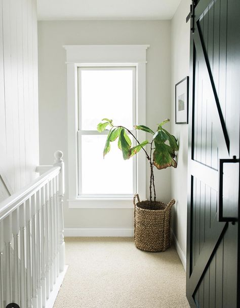 30 Modern Window Trim Ideas To Transform Your Home No Trim Windows, Modern Window Casing, Modern Window Trim Ideas, Window Trim Ideas Interior, Modern Window Trim, Window Trim Styles, Window Sill Trim, Window Trim Ideas, Craftsman Style Trim