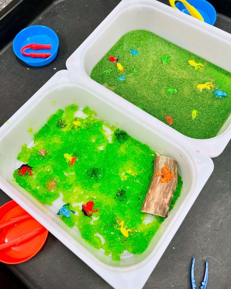 🐸Ribbit, Ribbit! Our playgroup hopped into a fun-filled frog theme today! From creative arts and crafts to squishy chia seed and jelly sensory play, the little ones had a blast exploring and learning. 🌟✨ #playgroup #frogs #eylf #eyfs #eyfsideas #eyfsteacher #teacher #teacherspayteachers #teachersfollowteachers #artsandcrafts #kidssensoryplay #kidscraft101 #activitiesforkids #activitiesfortoddlers #toddlerlife #toddleractivities #preschoolteacher #preschool #preschoolactivity #preschoolteache... Jelly Sensory Play, Frog Activities, Kids Sensory Play, Frog Theme, Frog Crafts, Tuff Tray, Pre K Activities, Creative Arts And Crafts, Toddler Life