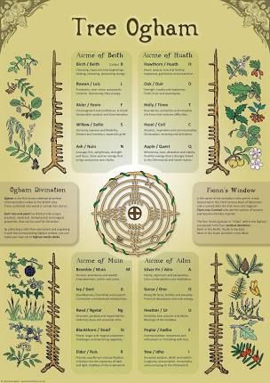 Irish Ogham, Tree Ogham, Witch Potions, Poster Infographic, Celtic Paganism, Celtic Pagan, Mystical Symbols, Forest Magic, Nordic Runes