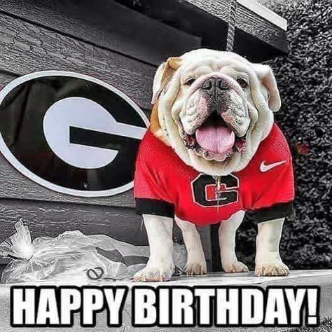 Bulldog Happy Birthday, Georgia Bulldog Mascot, Dawgs Football, Georgia Bulldawgs, Uga Bulldogs, Ga Bulldogs, Georgia Dawgs, Georgia Bulldogs Football, Georgia Bulldog