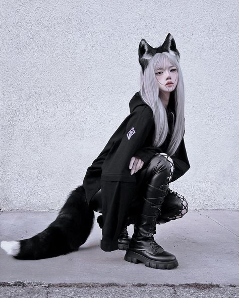 𝒯𝒽𝑒 𝐵𝓁𝒶𝒸𝓀 𝒲𝑜𝓁𝒻 Wolf Cosplay Female, Wolf Cosplay, Catwoman Cosplay, Halloween Photos, Black Wolf, Female Character, Animal Ears, Female Character Design, Cosplay Ideas