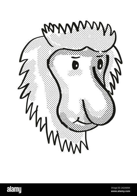 Minion Birthday Meme, Monkey Images, Proboscis Monkey, Monkey Drawing, Images Cartoon, Scary Images, Retro Illustrations, Endangered Wildlife, Dinosaur Images