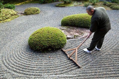 Japanese Rock Garden, Zen Rock Garden, Japanese Garden Landscape, Zen Garden Design, Garden Rake, Japanese Zen Garden, Zen Gardens, Japan Garden, Japanese Garden Design