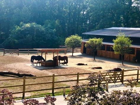 Dream Barn Stables, Paddock Trail, Equestrian Stables, Horse Paddock, Horse Farm Ideas, Horse Barn Ideas Stables, Horse Barn Designs, Paddock Paradise, Dream Stables