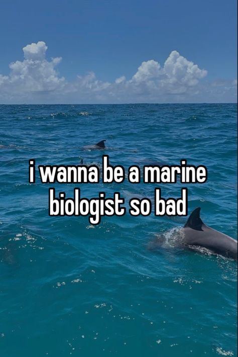 Oceanography Marine Biology, Biology Major, My Future Job, Ocean Girl, Biology Notes, Beautiful Sea Creatures, Marine Biologist, Oceanography, Marie Curie