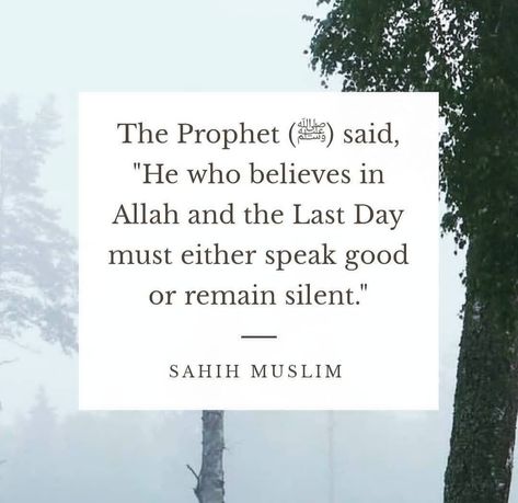 Speak Good Or Remain Silent, Hadith Books, Deeni Quotes, Silent Quotes, Islamic Lectures, Silence Is Better, What Is Islam, Islamic Words, Remain Silent