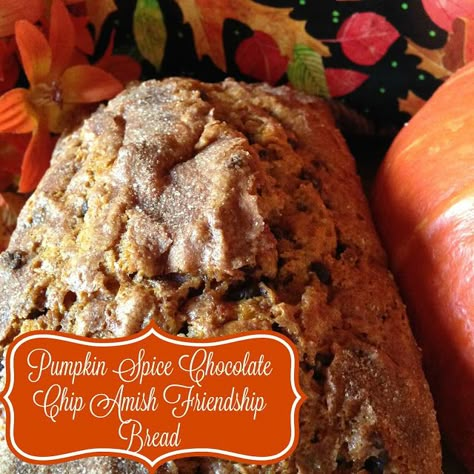 Amish Bread Starter, Bread Thanksgiving, Amish Starter, Amish Bread Recipes, Pumpkin Spice Chocolate, Amish Friendship Bread Starter Recipes, Bread Chips, Friendship Recipe, Friendship Bread Recipe