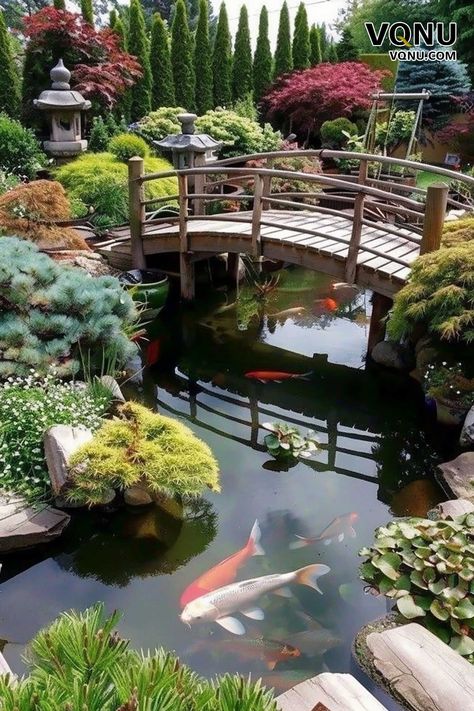 A serene Japanese garden with a koi pond, traditional arched wooden bridge, and lush greenery, featuring vibrant koi fish and carefully manicured plants. Koi Pond With Bridge, Garden With Koi Pond, Coconut Ideas, Koi Pond Ideas, Beautiful Garden Ideas, Japanese Pond, Curved Bridge, Fish Ponds Backyard, Pond Bridge