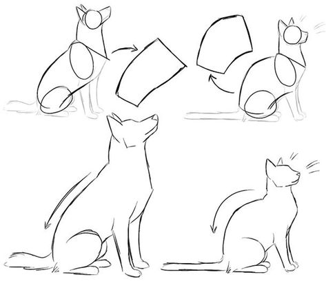 Comparación  de cómo se sientan los peros y gatos Dog Drawing Tutorial, Cats Sitting, Dog Anatomy, Cat Anatomy, Drawing Animals, Dog Sketch, 강아지 그림, Animal Sketches, Dog Drawing