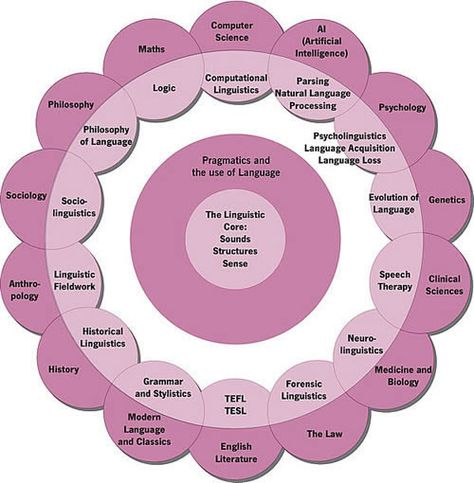 an illustration of the many overlaps between linguistics and other fields #linguistics #translating #interpreting Linguistics Degree, Linguistics Major, Linguistics Study, Historical Linguistics, Computational Linguistics, Applied Linguistics, Patras, Language Acquisition, Spanish 1