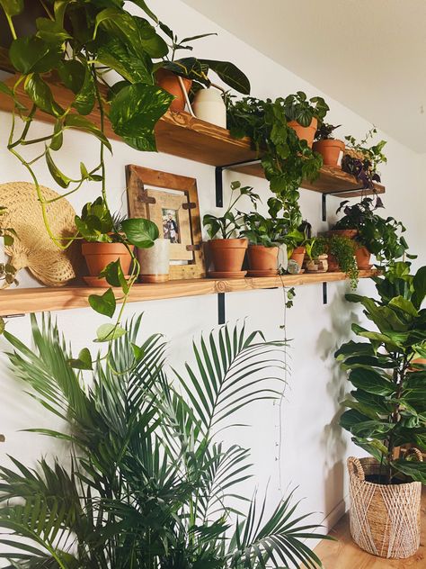 Plant Shelves In Dining Room, Boho Bedroom Plants Decor, Shelves With Plants In Bedroom, Boho Plant Shelves, Rooms With Lots Of Plants, Indoor Plants Styling Boho, Plant Shelves Bedroom, Plant Shelves Indoor Living Rooms, Plant Shelf Styling