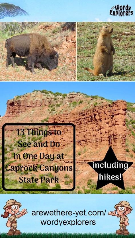 Another "must visit" Texas State Park is Caprock Canyons ... where the bison roam freely all day! Check out this itinerary for a one day visit to this park in the Texas Panhandle.  If you've got more than a day to spend exploring the park, there are plenty of options to fill your time. Caprock Canyon, Cloudland Canyon State Park, Texas Camping, Caprock Canyon State Park, Caesar’s Head State Park, Coral Pink Sand Dunes State Park, Oklahoma State Parks, Palo Duro Canyon State Park, Texas Getaways