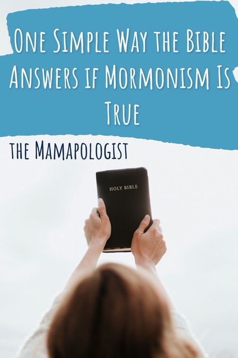 Why does it matter if Mormonism is true to Christians? We are supposed to be about truth. The Bible is one way we can test Mormon beliefs as truth claims. #apologetics #womeninapologetics #faith #christianity #lds #mormon via @mamapologist Apologetics Christian, Mormon Beliefs, Speech And Debate, Articles Of Faith, Take Me To Church, Core Beliefs, Bible Versions, Study Bible, Faith Christian