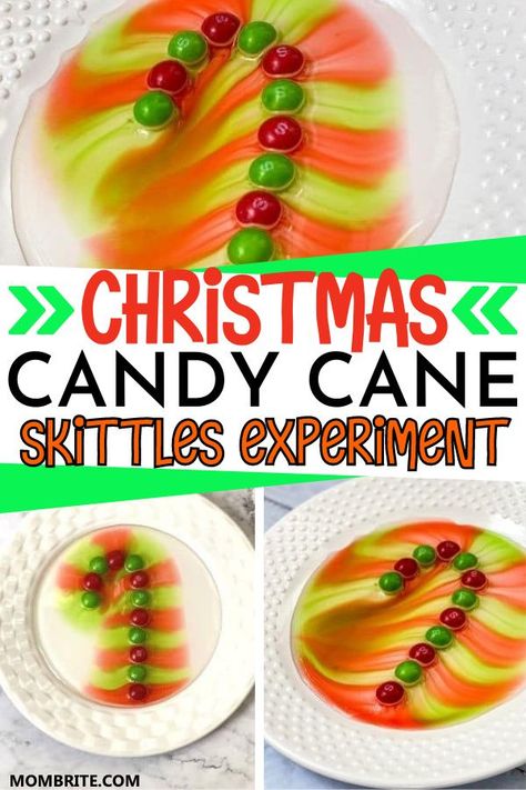 Skittles Science Experiment, Skittles Science, Skittles Experiment, Candy Science Experiments, Candy Cane Experiment, Candy Cane Science, Christmas Stem Activities, Candy Experiments, Christmas Science Experiments