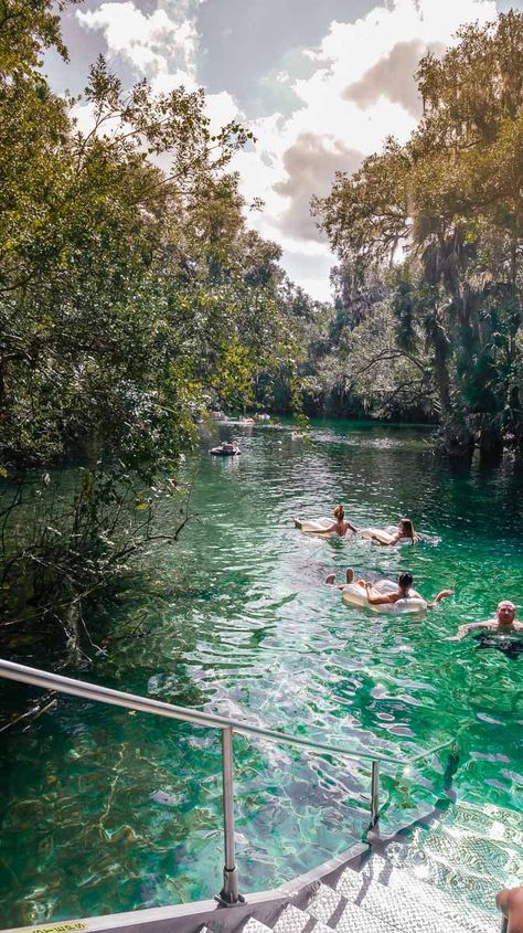 Blue Springs State Park Florida is one of the best State parks in Florida for tubing in summer and viewing manatees in winter. It is considered to be one of the very best natural Springs in Florida. When its hot in Florida, you need to get out and see the best of what #Florida has #floridasprings #visitflorida #bluesprings #florida #naturalsprings Florida Springs Aesthetic, Springs In Florida Pictures, Florida Water Aesthetic, Estero Florida, Weston Florida, Beaches Near Orlando, Natural Springs In Florida, Blue Springs State Park Florida, Rainbow Springs State Park