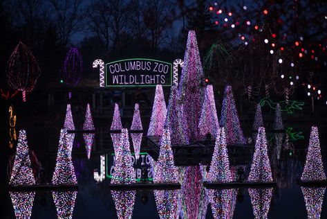 Wildlights at the Columbus Zoo and Aquarium - Columbus on the Cheap Best Christmas Light Displays, Zoo Lights, Columbus Zoo, Christmas Light Show, Cincinnati Zoo, Best Christmas Lights, Christmas Light Displays, Christmas Decorations For Kids, Light Trails