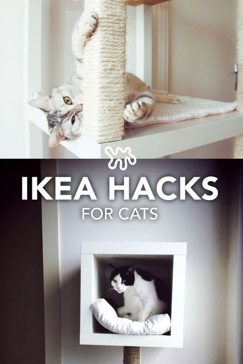 Ikea Hacks For Cats, Ikea Cat, Katt Diy, Cat Playground Outdoor, Katt Grejer, Chat Diy, Kat Diy, Diy Cat Tree, Billion Dollars