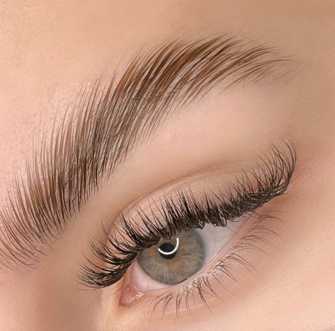 Brows Lift, Laminated Eyebrows, Brow Lifting, Lashes And Eyebrows, Eye Lash Photography, Eyebrow Lamination, Keratin Lash Lift, Eyebrow Lift, Lash Makeup