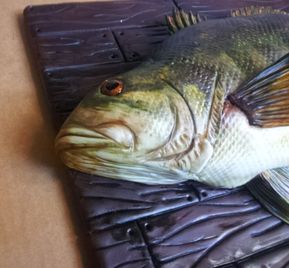 Bass Fish Cake Bass Fish Cake, Fishing Cakes, Fish Cake Birthday, Shark Birthday Cakes, Fishing Cake, Hunting Cake, Realistic Cakes, Shark Themed Birthday Party, 3d Fish