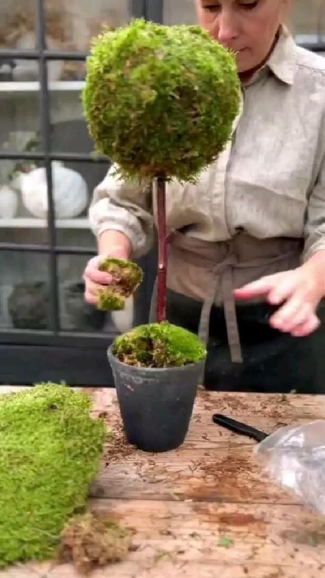 Božićne Dekoracije, Moss Decor, Outdoor Deco, Ikebana Flower Arrangement, Homemade Christmas Decorations, Moss Garden, Garden Deco, Diy Crafts Room Decor, Garden Fountains