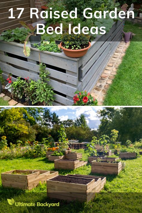 Enhance your outdoor space with creative raised garden bed ideas that are perfect for any size yard. Learn the essentials of proper setup, strategic planting, and ongoing care to ensure your garden thrives season after season. Creative Raised Garden Beds, Veggie Garden Layout, Raised Garden Bed Ideas, Garden Bed Ideas, Wooden Raised Garden Bed, Raised Bed Garden Design, Ultimate Backyard, Australian Native Garden, Bucket Gardening