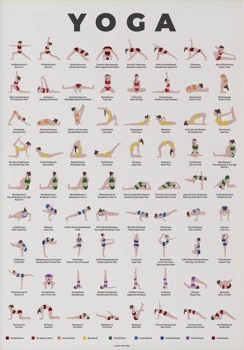 Yoga Poses Names Asana, Rocket Yoga Sequence, Beginner Yoga Class Plan, Stiff Body Stretches, Stretching For Flexibility Beginners, Stretching Poses Reference, Yoga Stretches For Flexibility, Stretch Pose, Dynamic Stretching Exercises