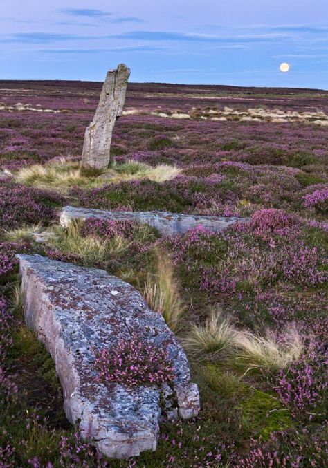 Windclan Camp, North York Moors, Standing Stones, Yennefer Of Vengerberg, Nature Photographer, Standing Stone, Scotland Highlands, British Countryside, Yorkshire Dales