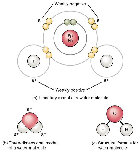 Water — Molecular Structure & Bonding - Expii Water Molecule Structure, Polar Molecules, Planetary Model, Chemical Symbols, Molecular Shapes, Ionization Energy, Structural Formula, Ionic Compound, Ionic Bonding