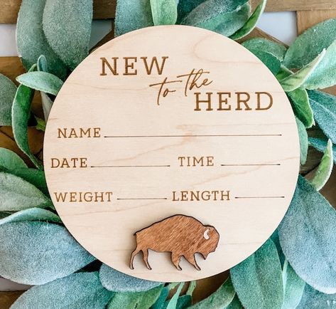 Diy Newborn Signs For Hospital, Newborn Baby Signs Front Doors, Rustic Hospital Door Hanger Boy, Western Birth Announcement Sign, Newborn Stats Sign, Baby Name Reveal, Birth Stats Sign, Baby Stats, Birth Details