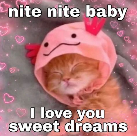 I Love You Reaction Pics, Good Night Reaction Pic, Good Night Meme, Sleep Meme, Cute Messages For Him, Good Night Cat, Good Night I Love You, Nite Nite, Response Memes