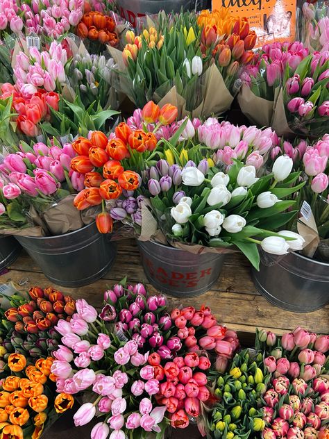 Tulip Market, Flower Market Aesthetic, Flower Shopping, Flowers Market, Tulip Season, Boquette Flowers, Nothing But Flowers, Flower Therapy, Beautiful Bouquet Of Flowers