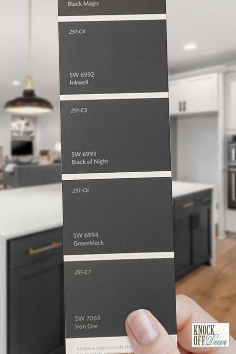 iron-ore-paint-chip-strip Iron Ore Paint, Sherwin Williams Iron Ore, Iron Ore Sherwin Williams, Charcoal Grey Paint, Ski Mask The Slump, Slump God, Black Paint Color, Dark Paint Colors, Door Inspiration