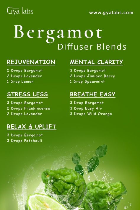 Amyris Essential Oil Blends, Sage Essential Oil Blends, Bergamot Essential Oil Blends, Bergamot Diffuser Blends, Bergamot Diffuser Blend, Essential Oil Perfumes Recipes, Top Essential Oils, Essential Oil Combinations, Essential Oil Diffuser Blends Recipes