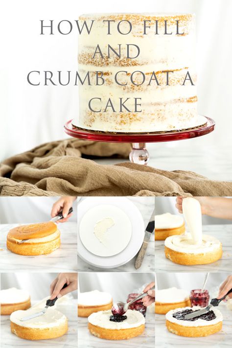 Crumb Coat Recipe, Crumb Coat Cake, Crumb Coating A Cake, Crumb Coat, Savory Cakes, How To Stack Cakes, Frosting Techniques, Cake Decorating For Beginners, Buttercream Filling