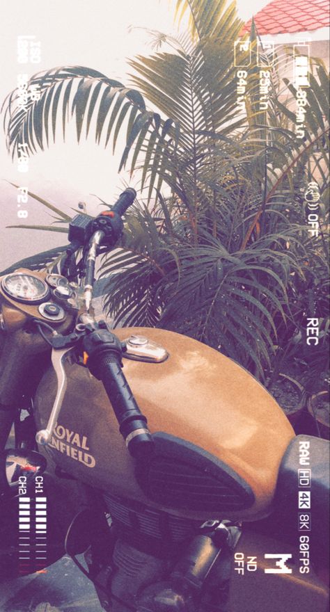 #royals #bike #bikelife #green #photography #photooftheday # Royal Enfield Snapchat Story, Cute Lab Puppies, Snap Pics, I Cried For You, Bullet Bike, Story Snapchat, Apple Watch Fashion, Bollywood Music Videos, Green Photography