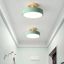 Wood Canopy, Trailer Camping, Flushmount Ceiling Lights, Round Light, Led Ceiling Lamp, Room Redo, Modern Ceiling, Modern Ceiling Light, Wood Rounds