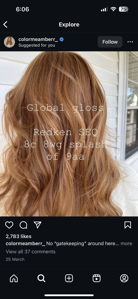 Redken Shades Copper Formulas, Red Shades Eq Formulas, Redken Shades Eq Formulas, Shades Eq Formulas, Copper Peach Hair, Highlights Tutorial, Golden Copper Hair, Light Copper Hair, Redken Formulas