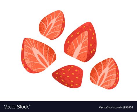 Strawberry Graphic Design Illustrations, Vector Fruit Illustration, Strawberry Vector Illustration, Strawberry Illustration Design, Strawberry Slice Drawing, Strawberries Illustration, Eco Branding, Strawberry Vector, Cv Ideas