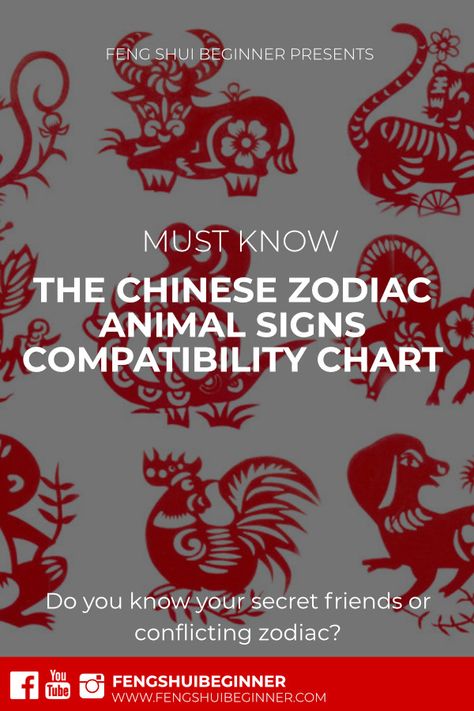 In the Chinese calendar, there are 12 zodiac animal signs that people are born under, namely, rat, ox, tiger, rabbit, dragon, snake, horse, goat, monkey, rooster, dog and pig.   Based on the Chinese astrology, the animal signs that are 4 years apart from each other are in the compatible group (三合) but they are considered to be incompatible (冲) if they are 6 years apart.  Find out more now! Chinese Year Animals, Chinese Astrology Chart, Chinese Astrology Signs, Chinese Zodiac Signs Compatibility, Chinese Zodiac Compatibility, Pig Chinese Zodiac, Pig Zodiac, Rat Zodiac, Taurus Horoscope Today