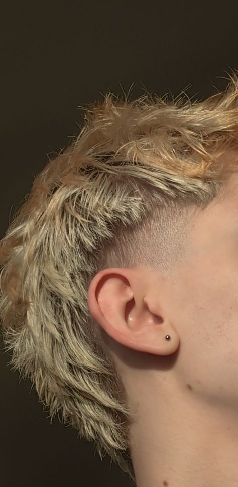 Short-medium blonde mullet with brown roots Burst Fade Mullet Women, Men’s Modern Mullet Straight Hair, Burst Fade Mullet Blonde, Short Edgy Mens Haircut, Short Blonde Mullet Men, Grey Hair Mullet, Alt Mullet Men, Guy Mullet Haircut, Frosted Tips Mullet