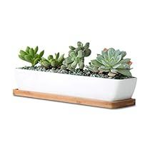 Long Planter, Plant Containers, Mini Plant Pots, White Ceramic Planter, Plant Window, Ceramic Succulent Planter, Ceramic Planter Pots, Ceramic Succulent, Rectangular Planters