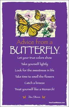 🌹🌹 ADVICE FROM A BUTTERFLY 🌹🌹 Dragonfly Quotes, 365 Jar, Colors Show, Animal Spirit Guides, Butterfly Quotes, Garden Quotes, Advice Quotes, True Nature, Art Card