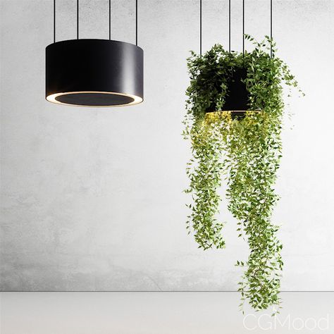 Hanging Vase Holder By CSMA - 3D Model for FStorm Lamp Planters, Pine Candle, Hanging Vase, Vase Holder, Hanging Vases, Pot Lights, Small Pendant Lights, Ceiling Hanging, Interior Garden