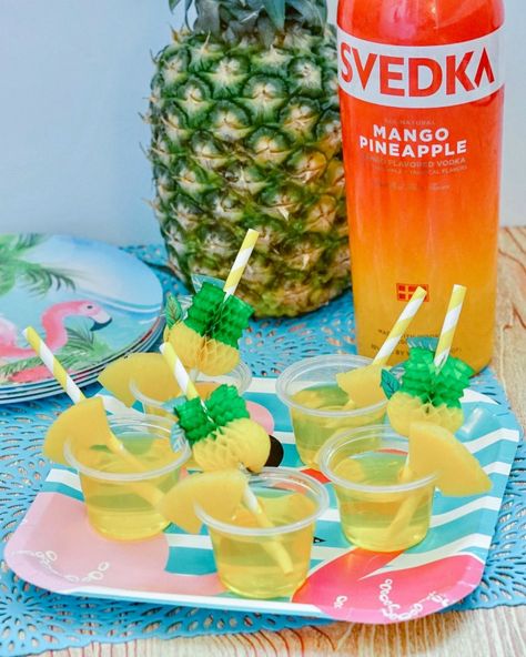 Mango Pineapple Jello Shots Recipe - Style on Main Svedka Mango Pineapple Recipes, Mango Jello Shots, Pineapple Jello Shots, Svedka Drinks, Tequila Jello Shots, Rum Jello Shots, Margarita Jello Shots, Jello Shots Vodka, Jello Shots Recipe