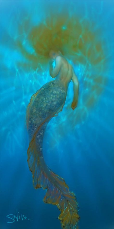 Creature Marine, Sea Siren, Fantasy Mermaids, Mermaid Swimming, Water Nymphs, Mermaid Fairy, Mermaid Tale, Mermaid Dreams, Mermaids And Mermen