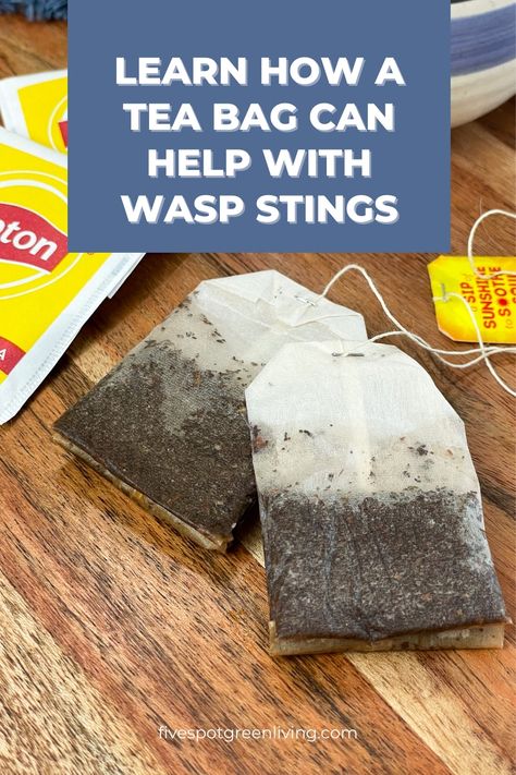 Did you know that a tea bag can be your secret weapon against pesky wasp stings? Find out how! Natural Wasp Repellent, Wasp Sting Remedy, Wasp Sting, Wasp Repellent, Wasp Stings, Food Doctor, Drink Covers, Being Outside, Tea Benefits