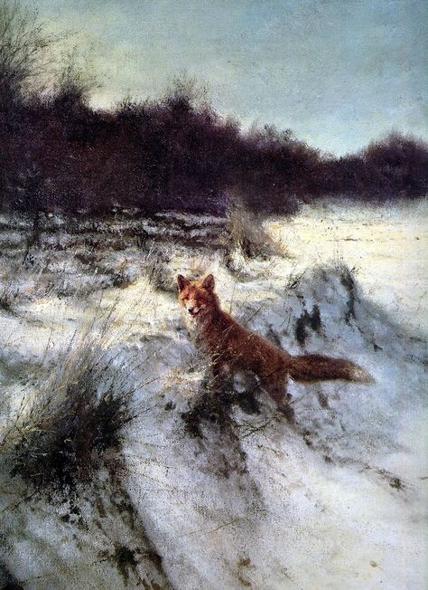 Things of beauty I like to see — Foxes in their habitat by Rien Poortvliet (Dutch,... Fox Painting, Fox Illustration, Forest Nature, Fox Art, Dutch Artists, Norman Rockwell, Winter Art, Arte Animal, Wildlife Art